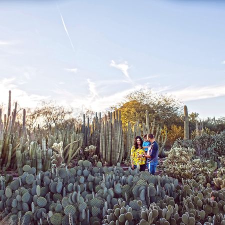 Holiday Inn Express & Suites - Phoenix - Airport North By Ihg Eksteriør bilde