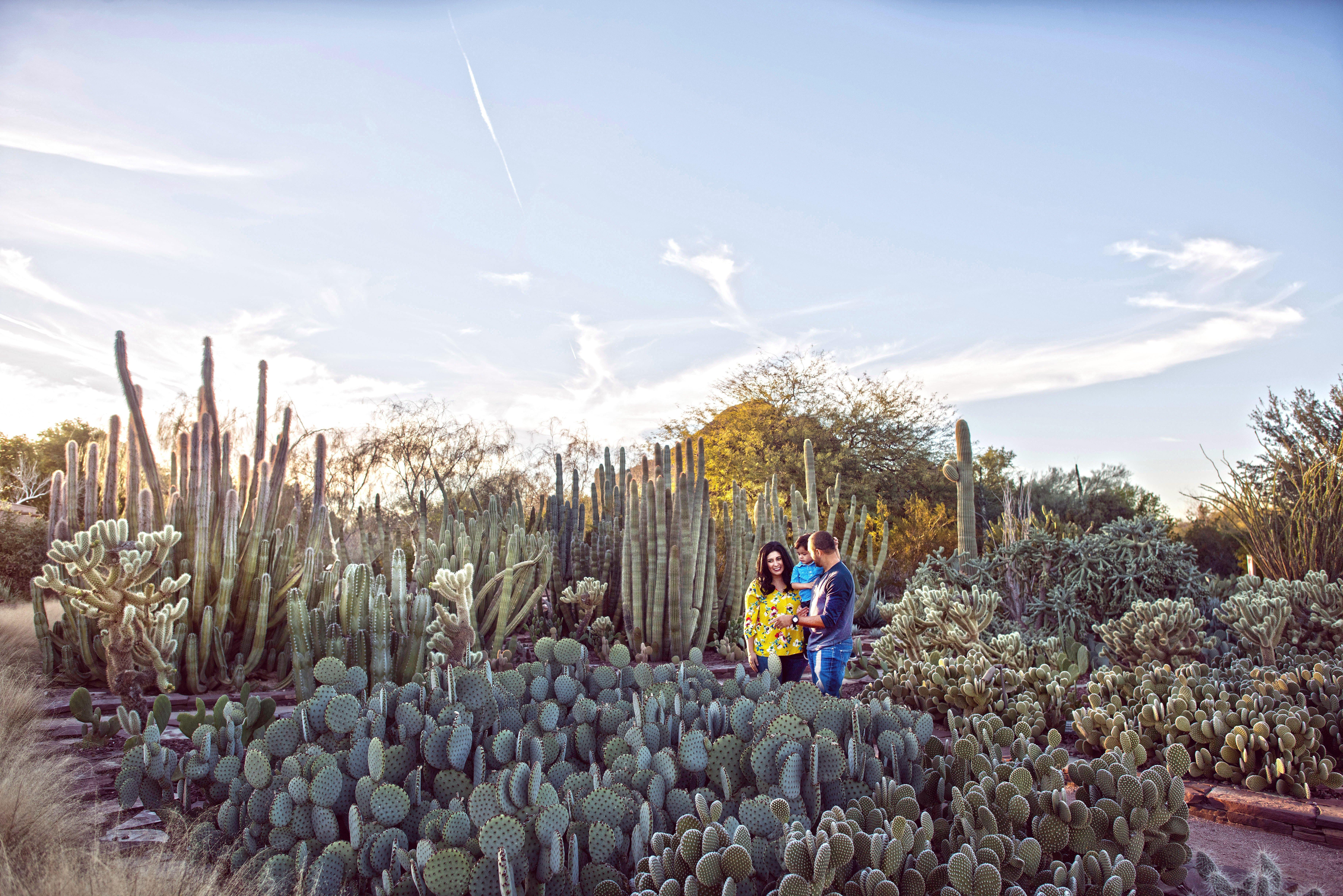 Holiday Inn Express & Suites - Phoenix - Airport North By Ihg Eksteriør bilde
