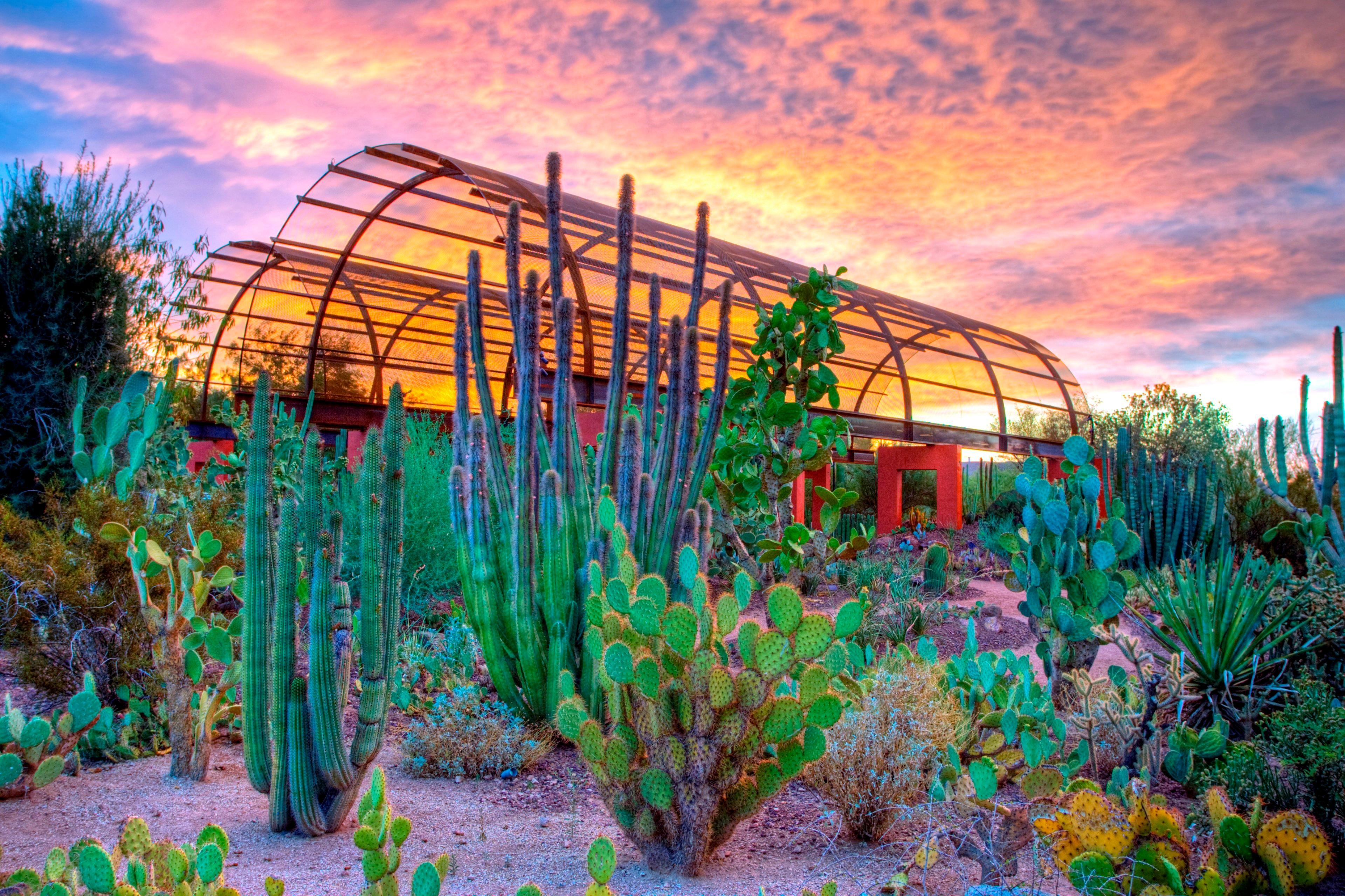 Holiday Inn Express & Suites - Phoenix - Airport North By Ihg Eksteriør bilde