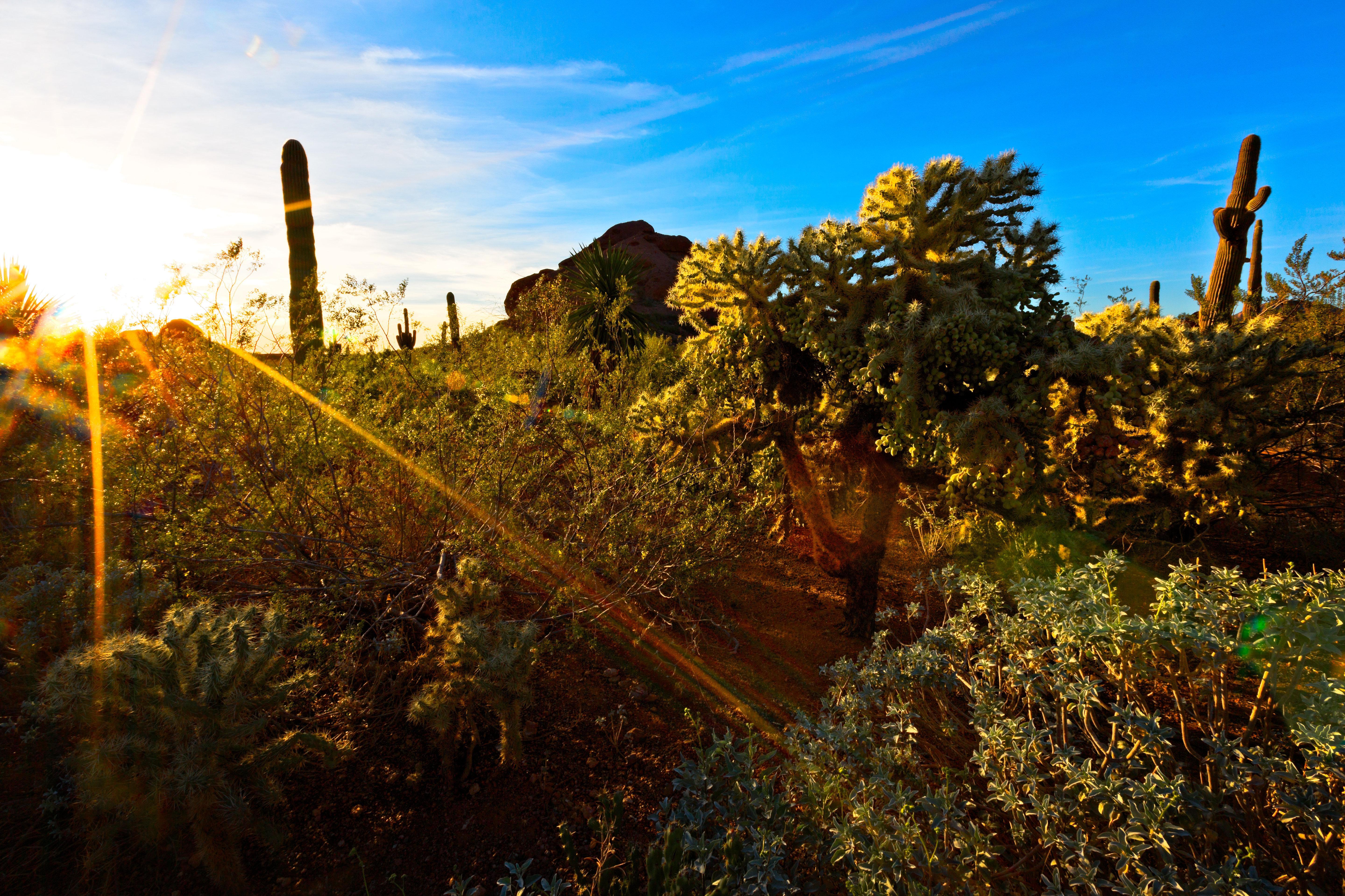 Holiday Inn Express & Suites - Phoenix - Airport North By Ihg Eksteriør bilde